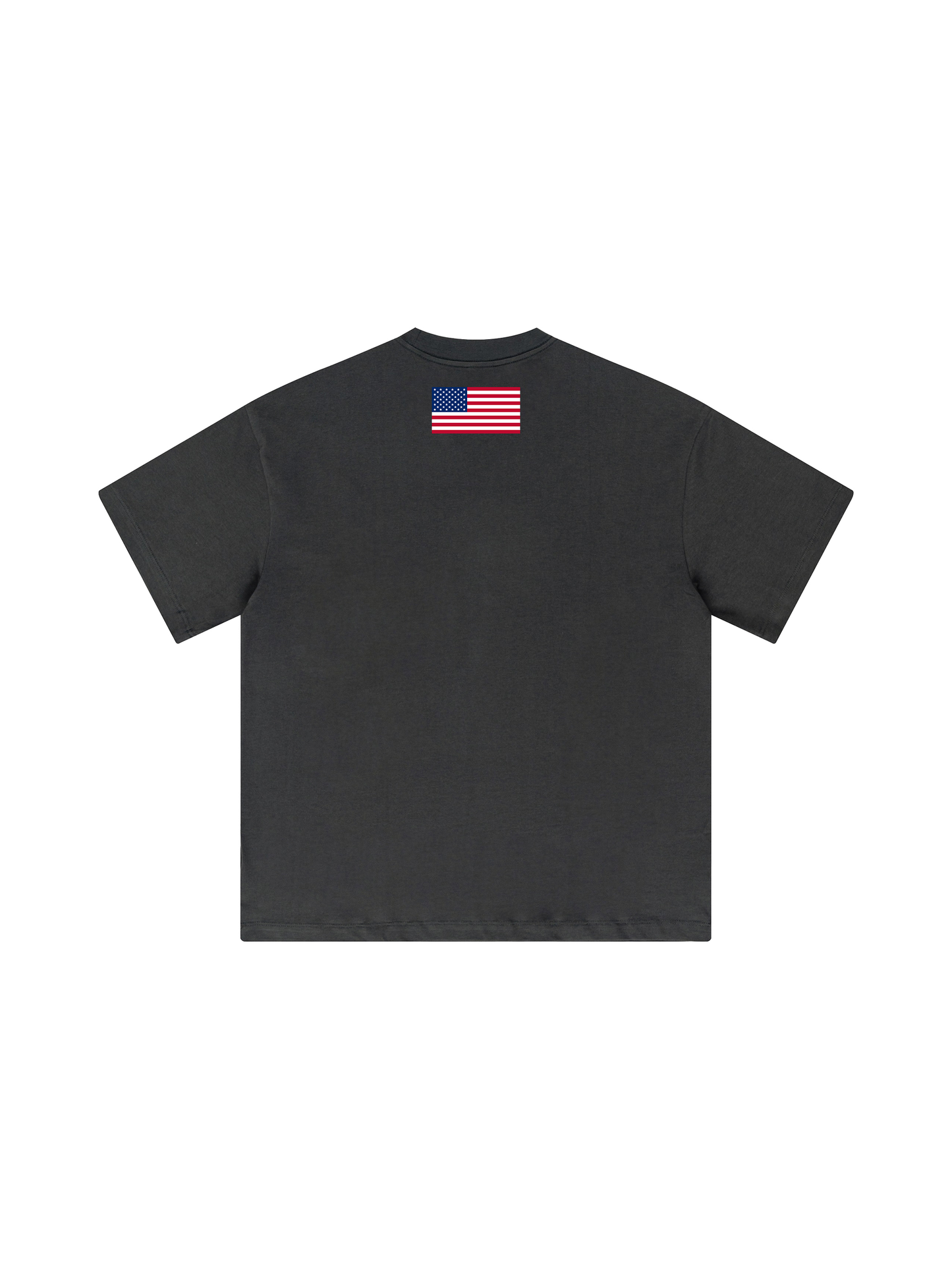 HEAVYWEIGHT "VINCIT QUI SE VINCIT" T-SHIRT - GRAY / WHITE