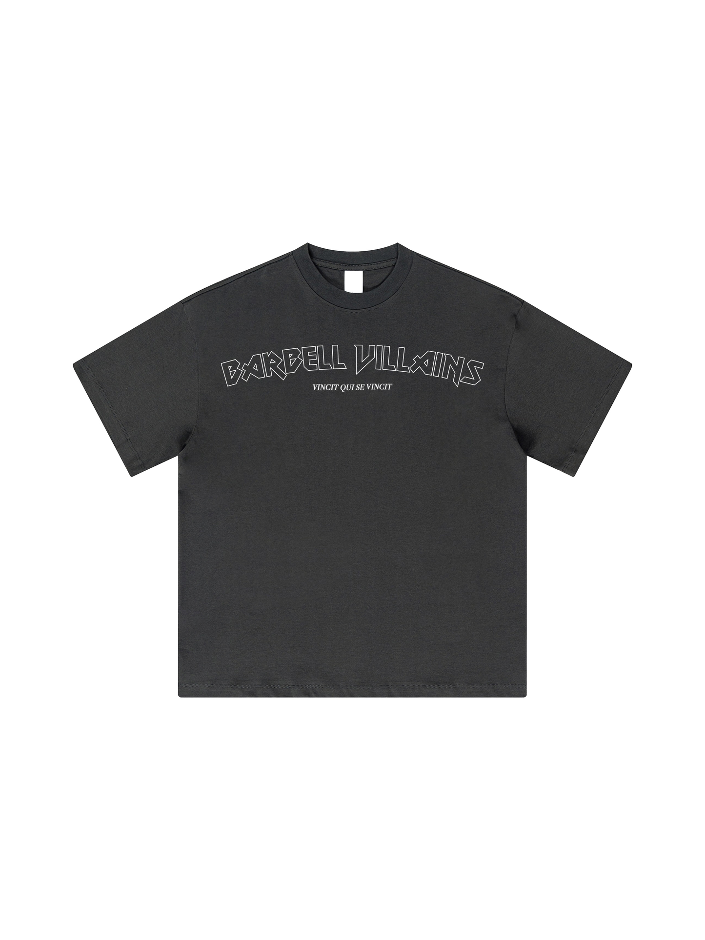 HEAVYWEIGHT "VINCIT QUI SE VINCIT" T-SHIRT - GRAY / WHITE