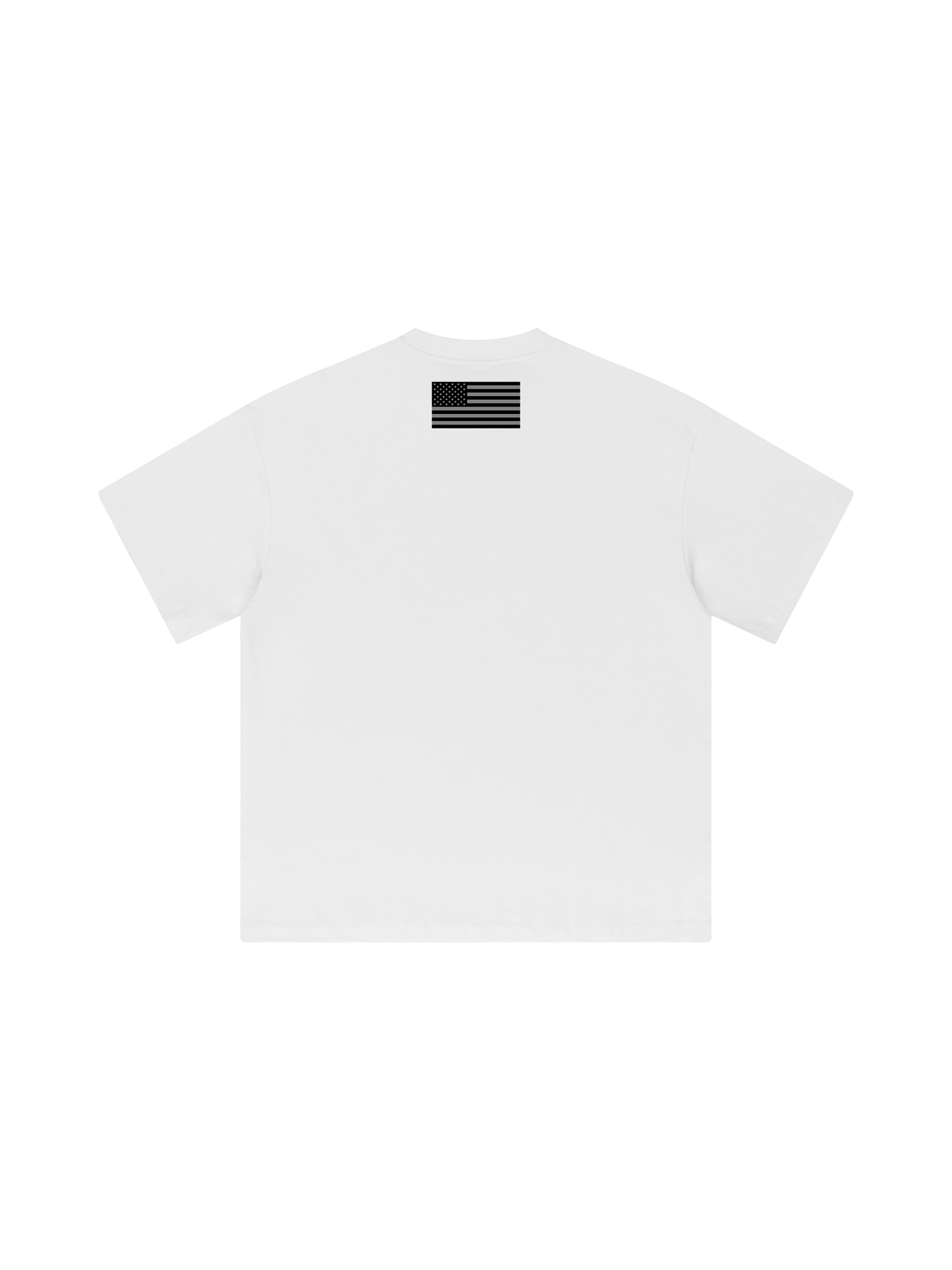 HEAVYWEIGHT "VINCIT QUI SE VINCIT" T-SHIRT - WHITE / GRAY